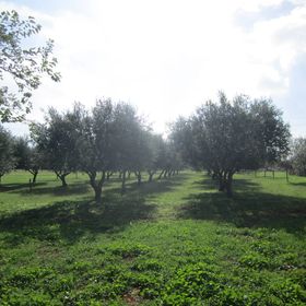 Kuća Božac Vodnjan