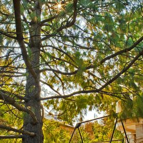 Kalmár Panzió Budapest