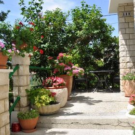 Apartman Profaca Rab