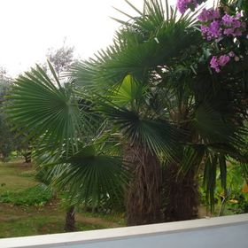 Apartmani Zdravka Vodice