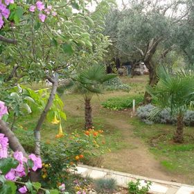 Apartmani Zdravka Vodice