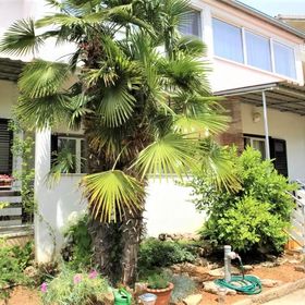 Apartmani Zdravka Vodice