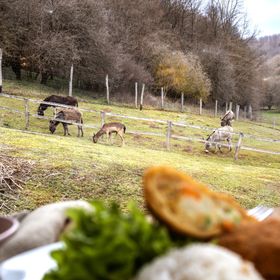 Szilvánusz Vendégház Ökopark Bükkösd