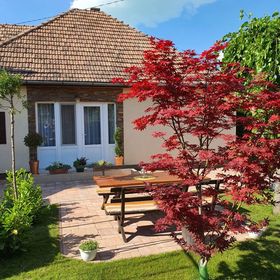 Szücs Apartman Balatonlelle