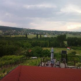 Vilmos Pince Hévíz