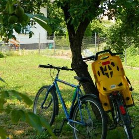 Lackó Kuckó Balatonlelle