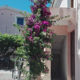 Apartmani Pantaler Vir