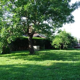 András Lak Abádszalók