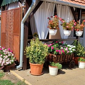 Katalin Apartman Békéscsaba