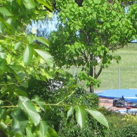 Rent a Scooter Vendégház Zamárdi