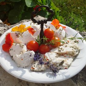 Malom-tó Vendégház Tapolca