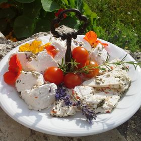 Malom-tó Vendégház Tapolca