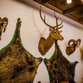 Zseri Vadászház Fehérvárcsurgó