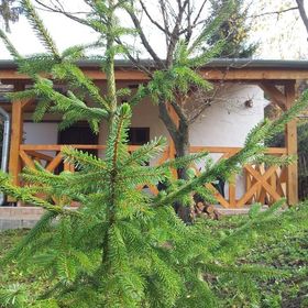 Hegyen-Völgyön Pihenőház Pethőhenye