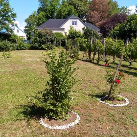 Béke Szigete a Balatonnál Gyenesdiás