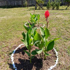 Béke Szigete a Balatonnál Gyenesdiás