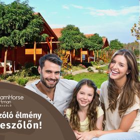 Dream Horse Apartman Cserkeszőlő