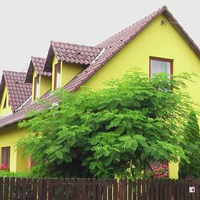 Gyetvai Ház Abádszalók