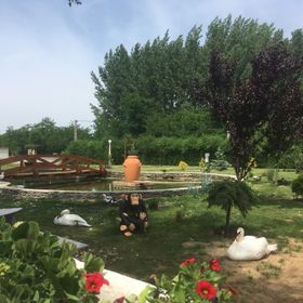 Termál Apartman Panzió Nyírbátor