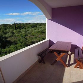 Apartments Leea Zadar Diklo