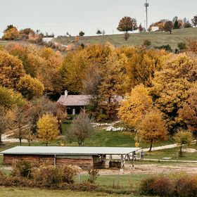 Berek Vendégház Hárskút