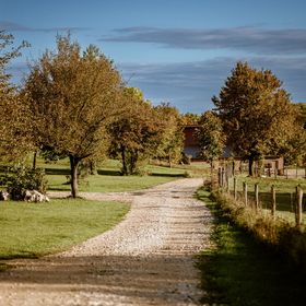 Berek Vendégház Hárskút