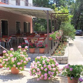 Apartmani Popo Starigrad