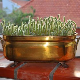 Hatház Apartman Pécs