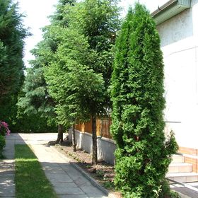 Galéria Vendégház Mezőkövesd