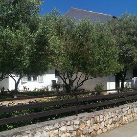 Apartmani Nevena Kožino