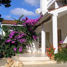 Apartments Paloma Blanca Medulin