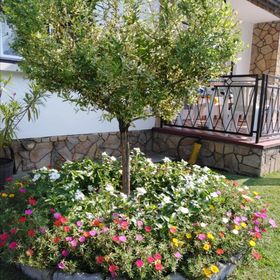 Aranka Ház Balatonkeresztúr