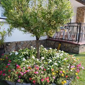 Aranka Ház Balatonkeresztúr