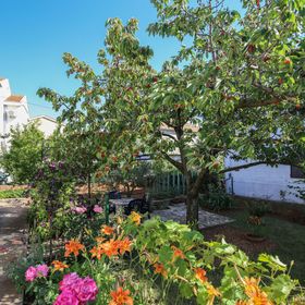 Apartmani Tea Zadar