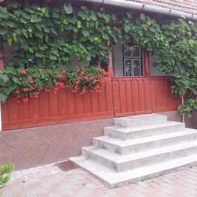 Căsuța Andrey Cornești