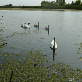 Bence Vendégház Poroszló