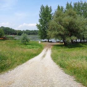 Partifecske Vendégház Tiszafüred