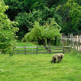 Ro-Zita Vendégház Lovas