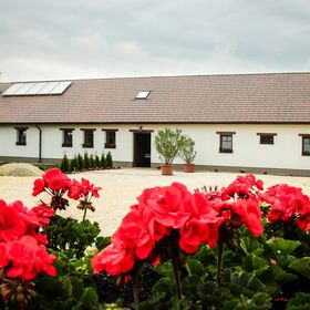 Kőpince Vendégház Bakonyszentlászló