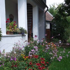 Égkőris Vendégház Bakonyszücs