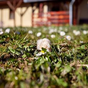 Három Testőr Vendégház Sátoraljaújhely