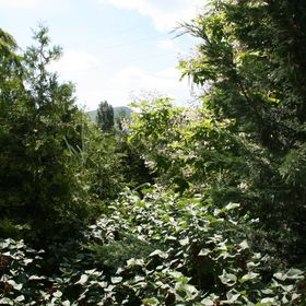 Fontana Vendégház Tát