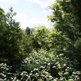 Fontana Vendégház Tát