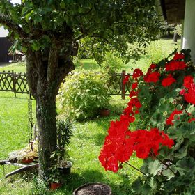 Kelemen Vendégház Hetvehely-Kán