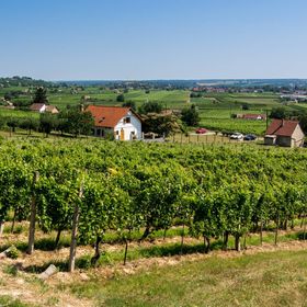 BorászPorta Vendégház Villány