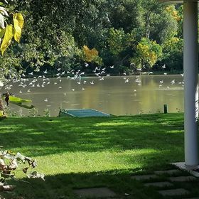 Tiszavirág Nyaralóház Szeged