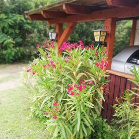 Betyárfogadó Kecskemét