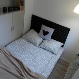 Studio Golden House Wrocław