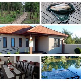 Szamos-Party Vendégház Olcsva