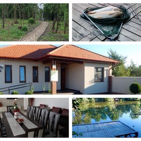 Szamos-Party Vendégház Olcsva